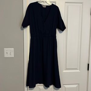 Everlane Navy Short Sleeve Dress